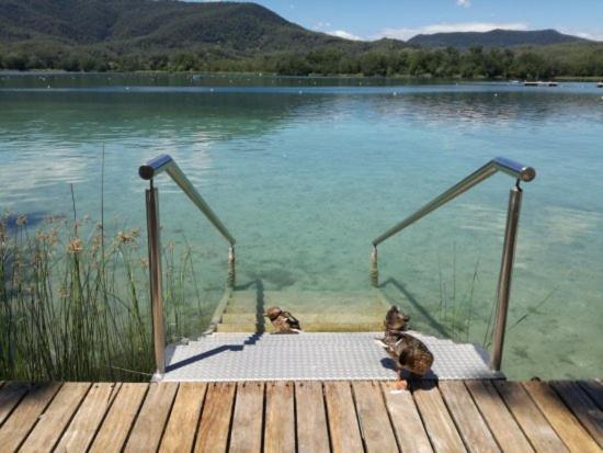 Camping Bungalow El Llac De Banyoles Porqueres Luaran gambar